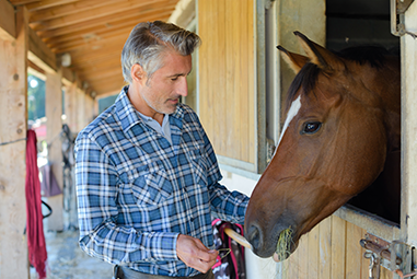 Man working with a horse that is looking out of a barn window - Wynstride