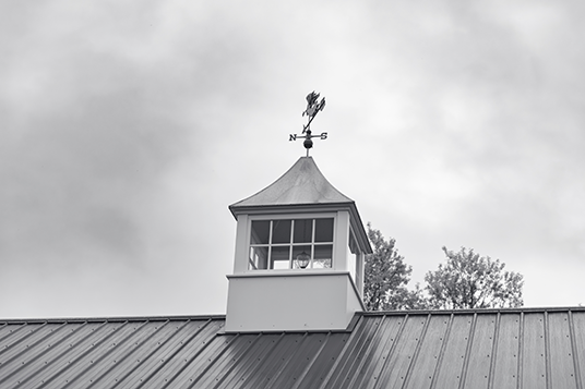 Innovative roof design - Wynstride