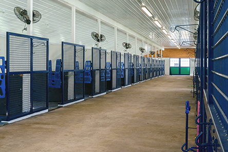 Wynstride Harness Racing Facility