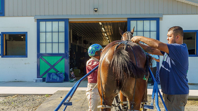 Trainer and jockey adjusting gear on a racehorse - Wynstride