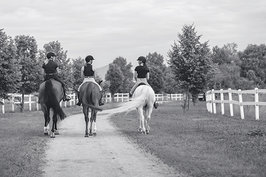 3 horses and riders circling the track