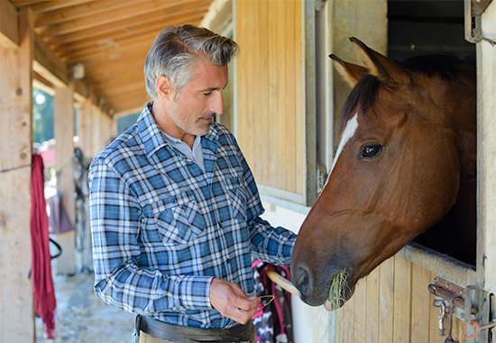 Wynstride - Horse and Owner at Barn Window