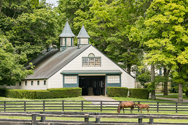 New horse barn