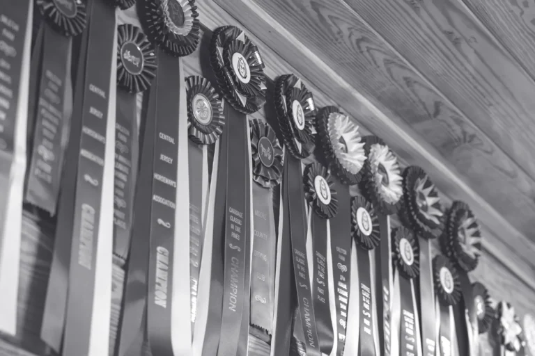 Awards Display from Premier Horse Competitions