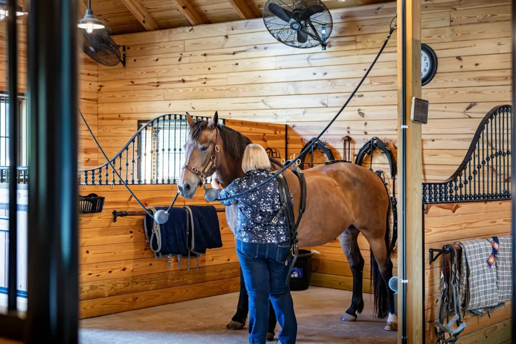 Horse Care and Grooming Facility Interior