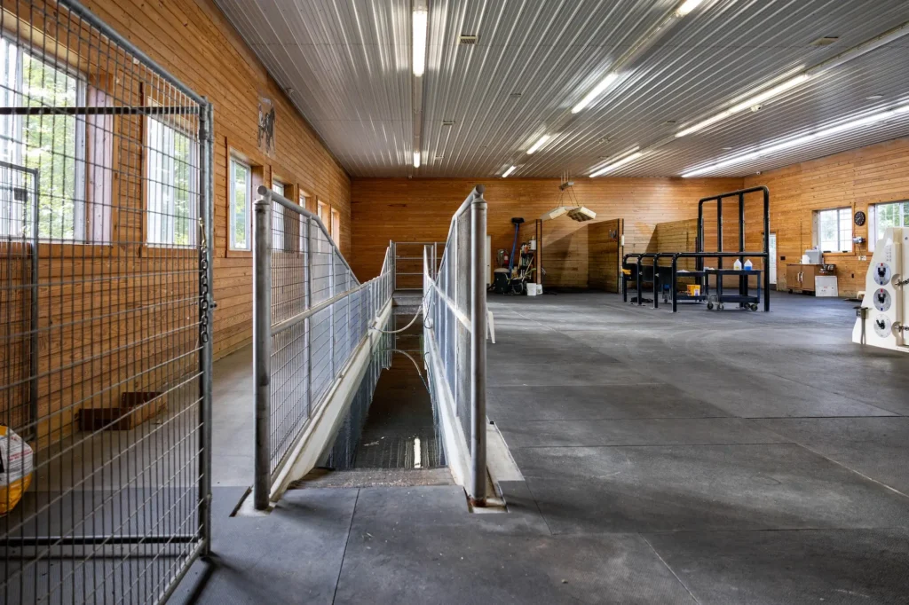 Horse Swimming and Rehabilitation Facility