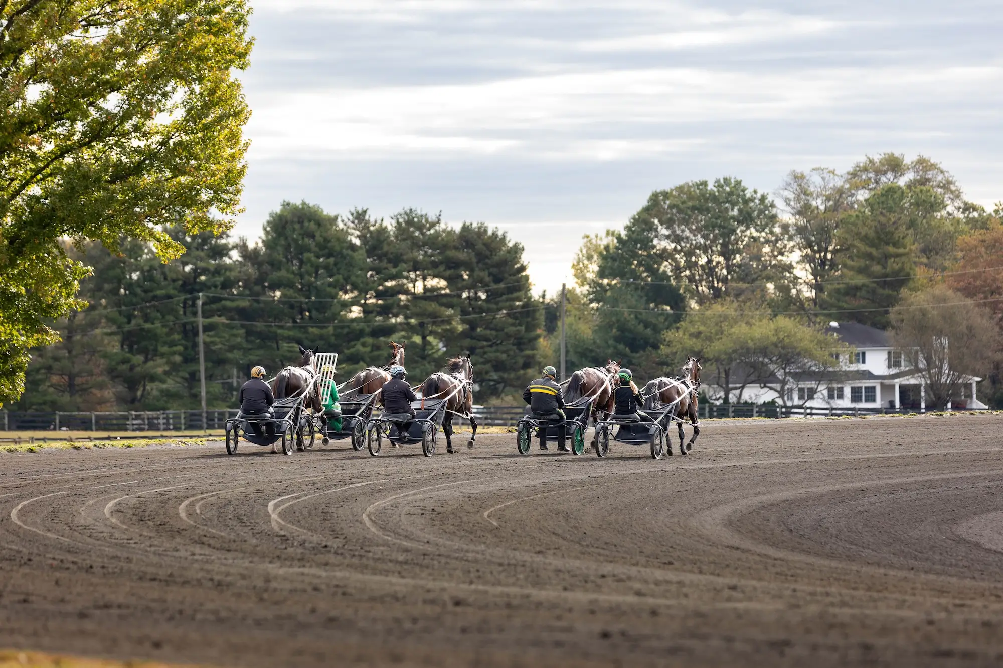 Multiple Horses Training on a Dirt Racetrack