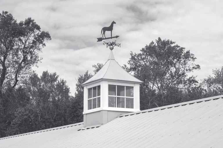 Architectural Detail: Equestrian Weathervane