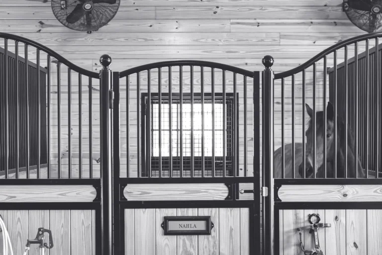 Detail of Premier Custom Horse Stall