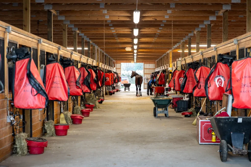 Harness Racing Barn Interior and Equipment